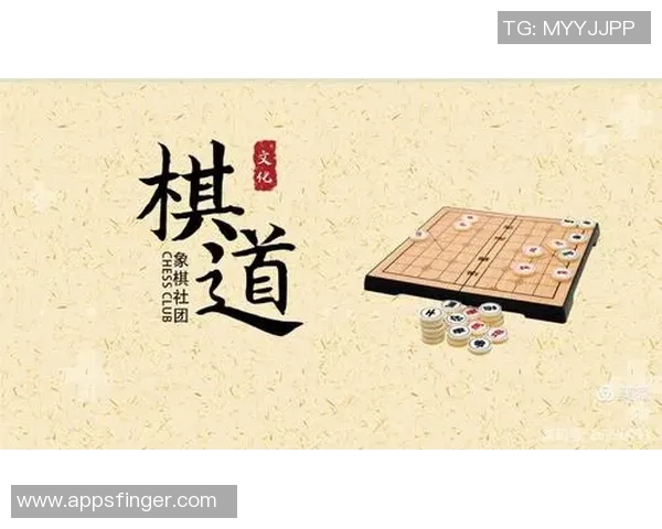 软辅与硬辅的版本选择与博弈策略分析与实战应用探讨