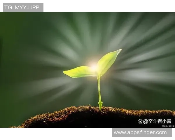 从新手到传奇的蜕变之路使命召唤中的每一次挑战都是成长的修行