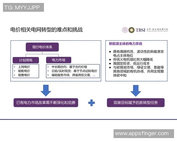 国服顶尖玩家与职业选手的实力差距探讨及其对电竞天梯的影响